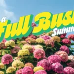 Miracle-Gro ajak tukang kebun nikmati 'Full Bush Summer'