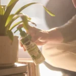 Strategi Marketing Scotts Miracle-Gro