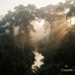 Ilustrasi peringatan Hari Masyarakat Adat Sedunia di kawasan hutan tropis